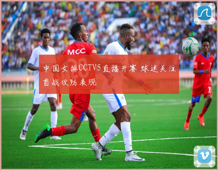 中国女排CCTV5直播开赛 球迷关注首战攻防表现