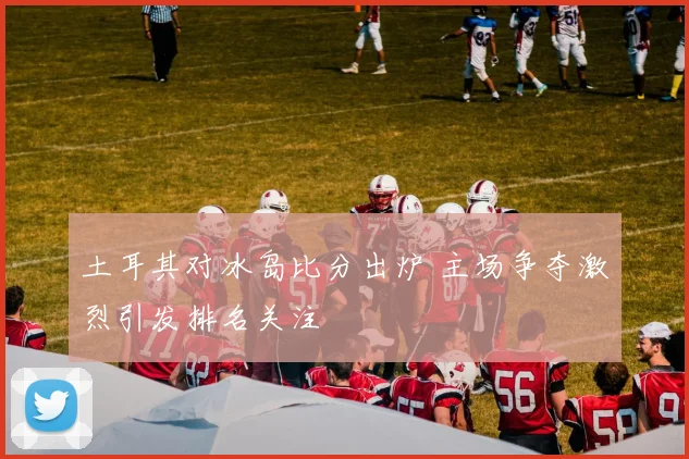 土耳其对冰岛比分出炉 主场争夺激烈引发排名关注