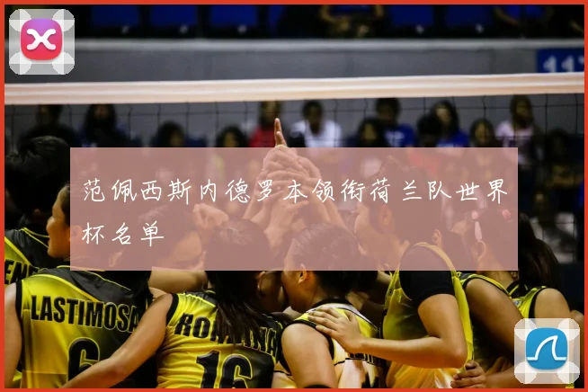 范佩西斯内德罗本领衔荷兰队世界杯名单