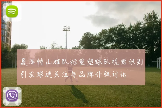 夏洛特山猫队标重塑球队视觉识别引发球迷关注与品牌升级讨论