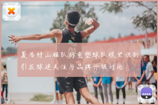 夏洛特山猫队标重塑球队视觉识别引发球迷关注与品牌升级讨论