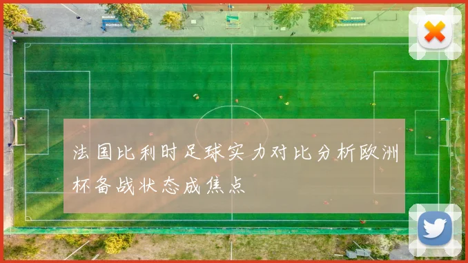 法国比利时足球实力对比分析欧洲杯备战状态成焦点
