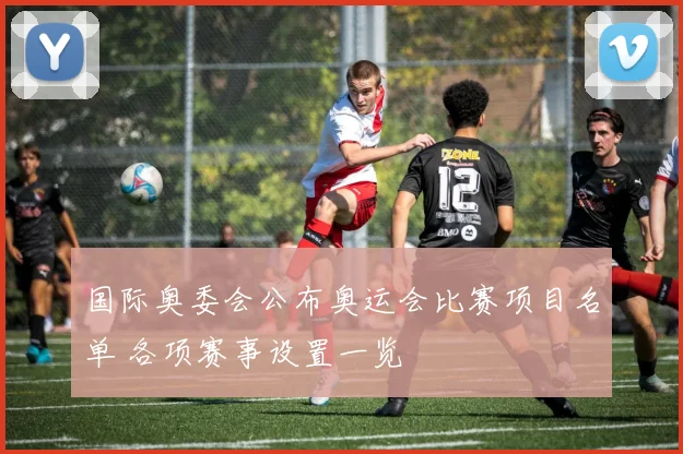 国际奥委会公布奥运会比赛项目名单 各项赛事设置一览