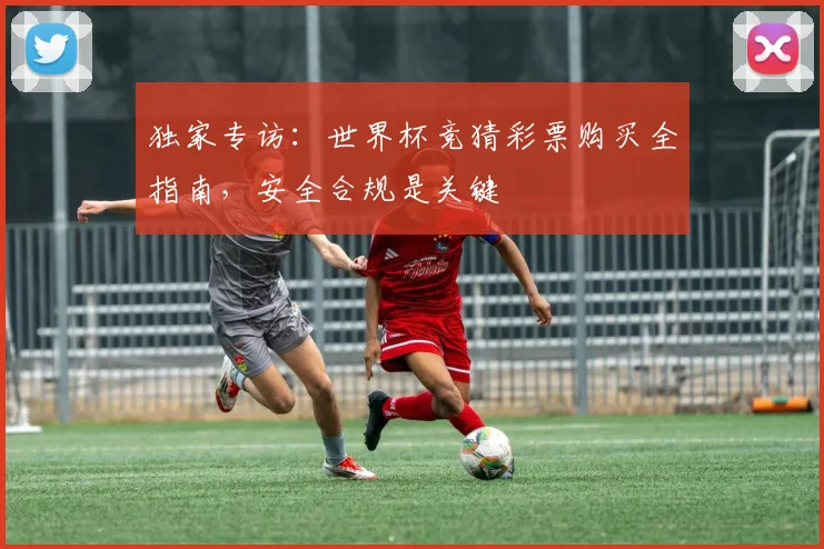 独家专访：世界杯竞猜彩票购买全指南，安全合规是关键