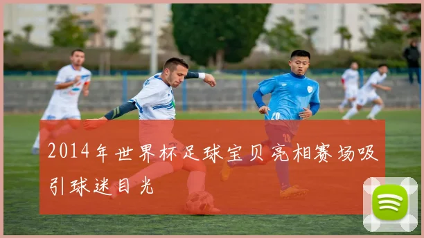 2014年世界杯足球宝贝亮相赛场吸引球迷目光