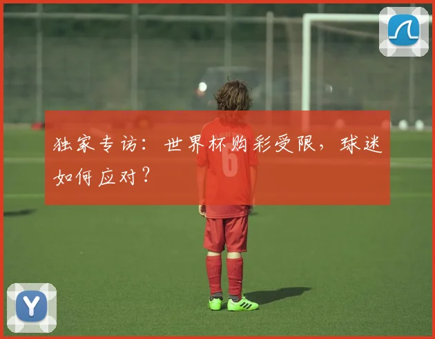 独家专访：世界杯购彩受限，球迷如何应对？