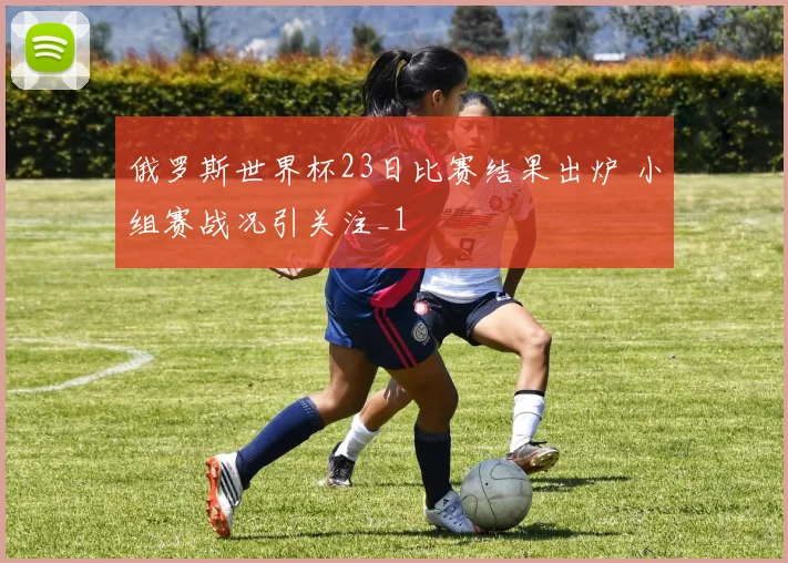 俄罗斯世界杯23日比赛结果出炉 小组赛战况引关注_1
