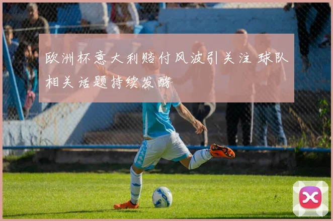 欧洲杯意大利赔付风波引关注 球队相关话题持续发酵