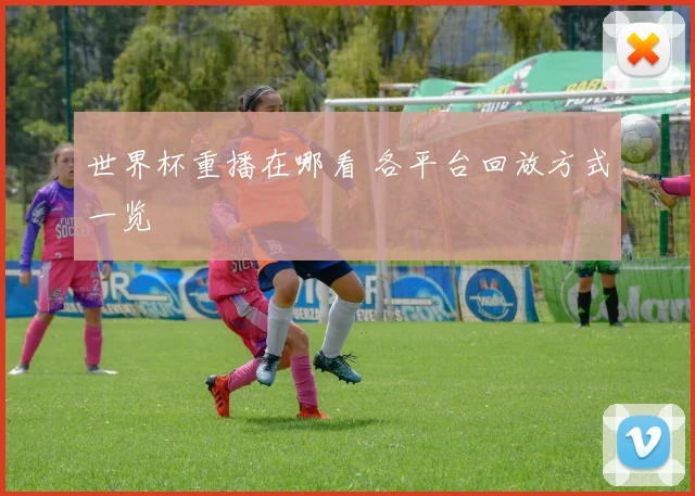 世界杯重播在哪看 各平台回放方式一览