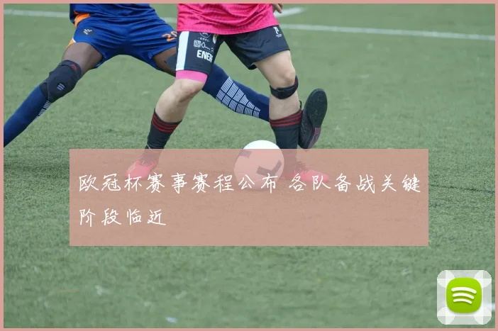 欧冠杯赛事赛程公布 各队备战关键阶段临近