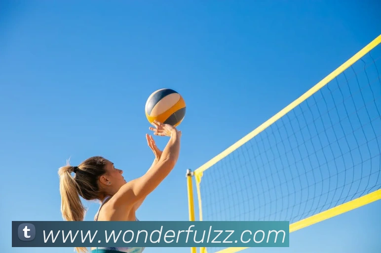 App Interface Preview