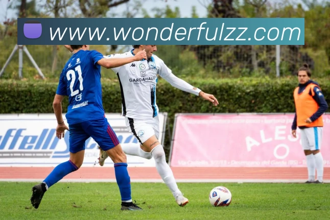 开云线上登录平台入口APP 封面图